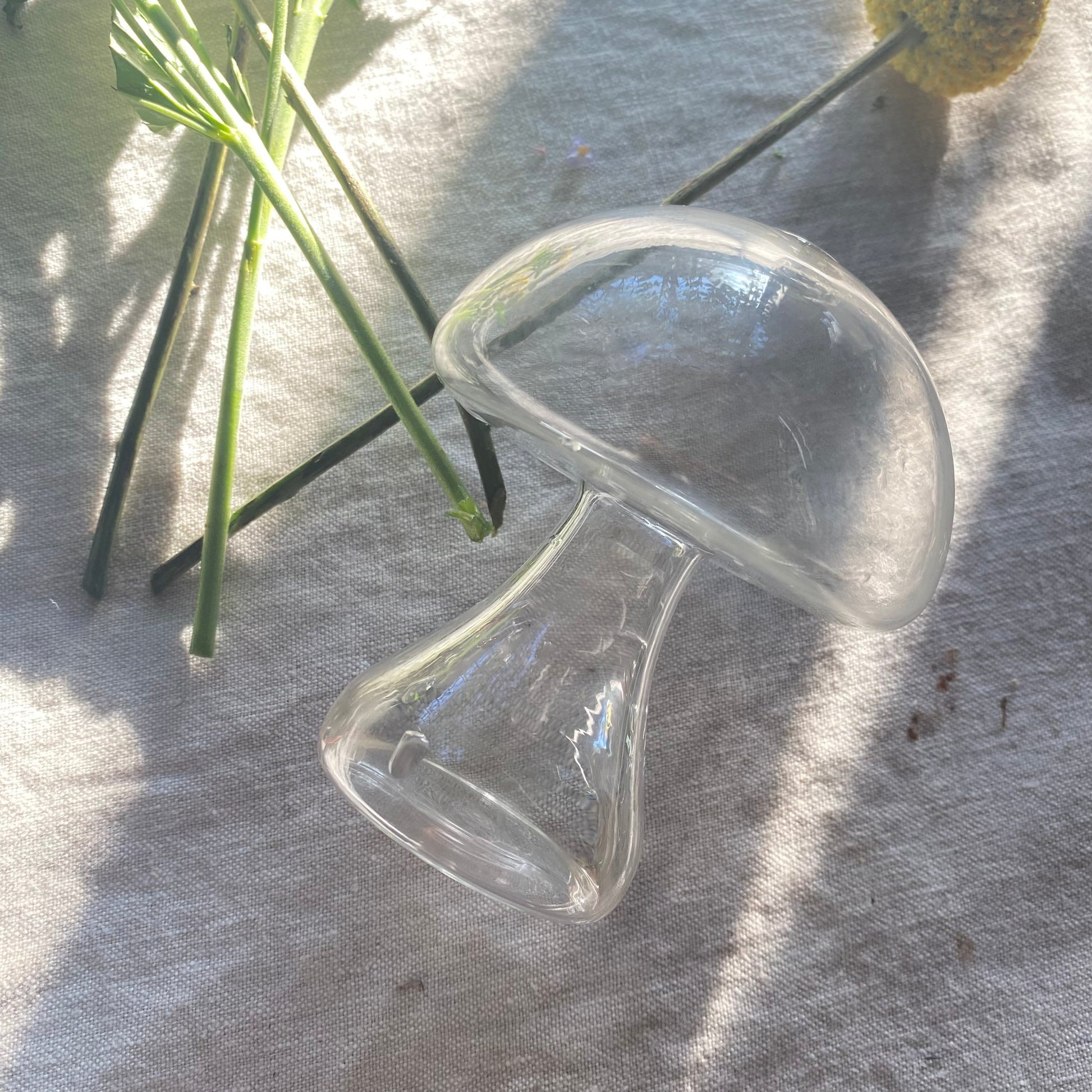 Glass Mushroom Vase  Chaio -