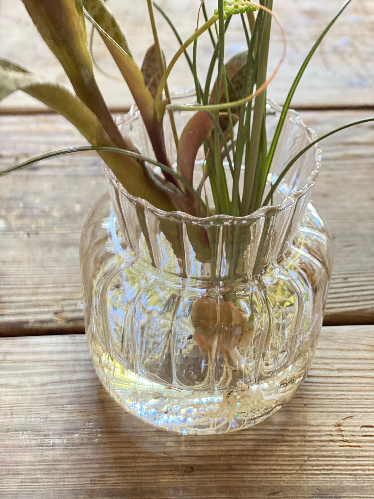 Glass vase  Chaio -